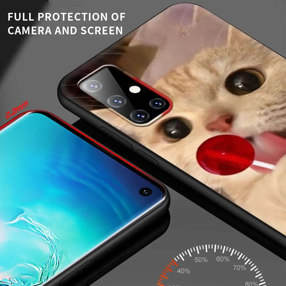 Funny Kitten Cat Phone Case for Samsung Galaxy A51 A71 A21S A03s A13 A33 A53 A11 A31 A52 A41 A32 5G A01 Silicone Black Cover