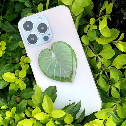 Plant Socket Folding Phone Grip Tok Leaf Acrylic Phone Holder For iPhone Universal Smartphone Griptok Bracket Finger Stand